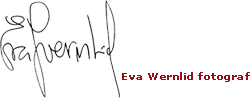 Eva Wernlid